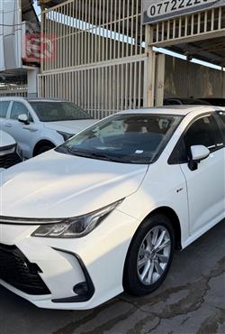 تويوتا كورولا